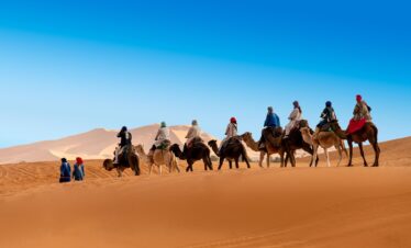 desert, the sand dunes, caravan, camel, berber, morocco, sahara, landscape, africa, sand, hot, nature, adventure, dune, drought, sky, peace of mind, marroc, travels, tourism, mood, erg chebbi, merzouga, camel, morocco, morocco, morocco, sahara, merzouga, merzouga, merzouga, merzouga, merzouga