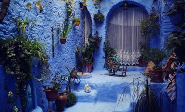 morocco, garden, blue, authentic, chefchaouen, architecture, chefchaouen, chefchaouen, chefchaouen, chefchaouen, chefchaouen