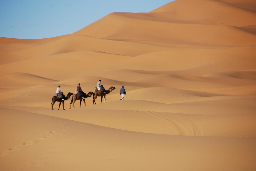desert, nature, sand, dunes, morocco, camel