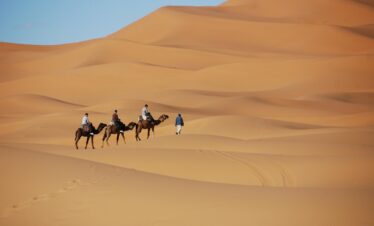 desert, nature, sand, dunes, morocco, camel