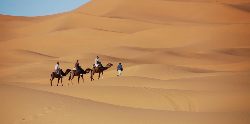 desert, nature, sand, dunes, morocco, camel