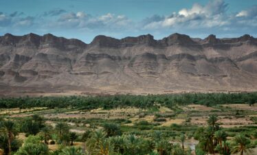 Lush oasis amidst arid mountains in Zagora, Morocco, capturing the stunning landscape.