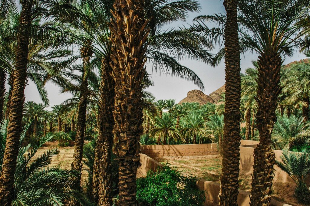 6 days tour from Fes to Merzouga and Zagora