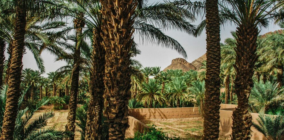 6 days tour from Fes to Merzouga and Zagora
