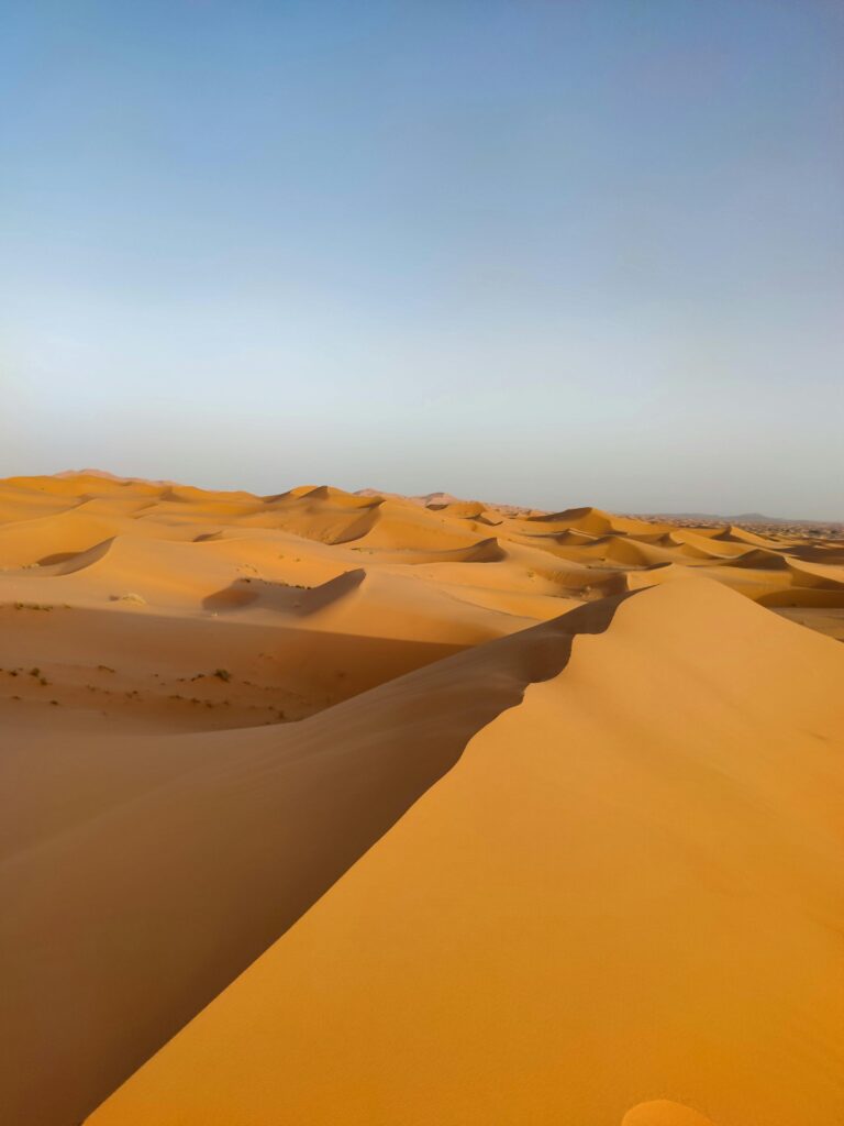 MOROCCO DESERT
