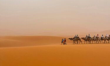 A serene camel caravan traversing the vast dunes of Merzouga, Morocco at sunrise.