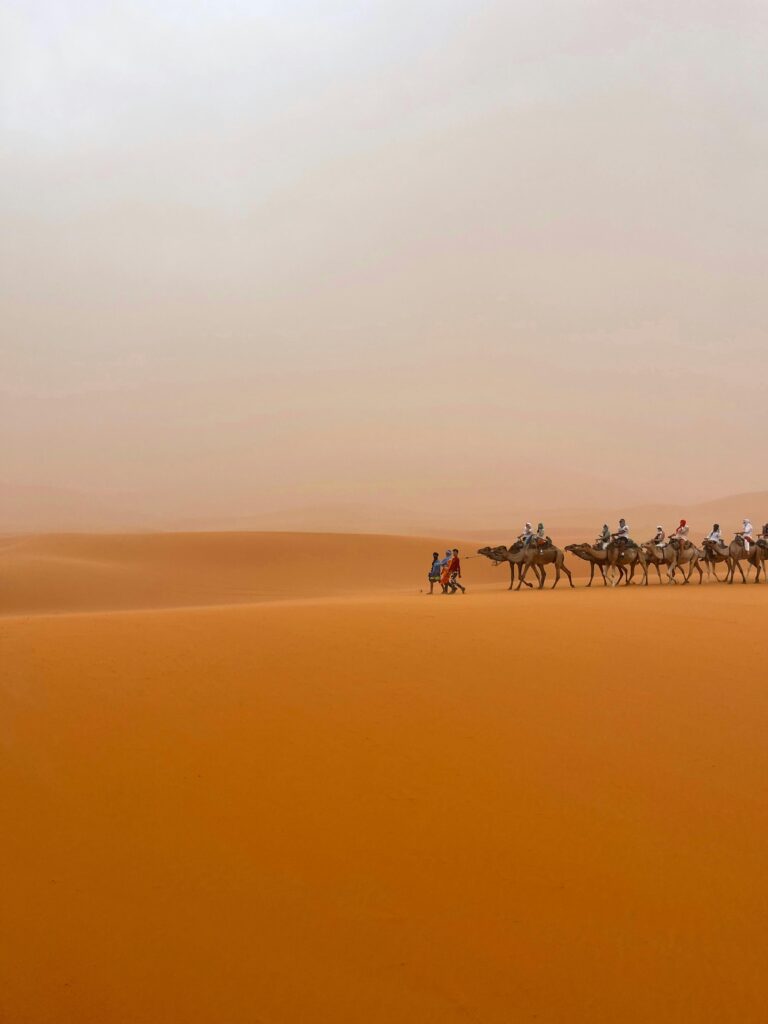 A serene camel caravan traversing the vast dunes of Merzouga, Morocco at sunrise.