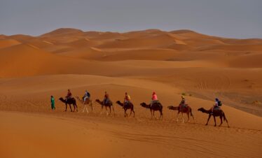 Tourists ride camels across stunning sand dunes under a clear desert sky, capturing the essence of desert adventure.