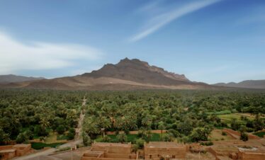 Breathtaking landscape of the lush Drâa Valley with mountains and greenery in Morocco.