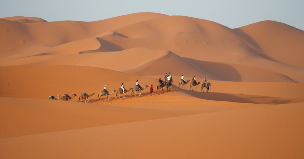 A camel caravan traverses the rolling dunes of Merzouga, Morocco at sunset.