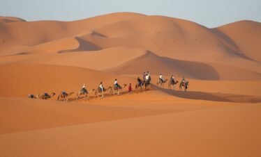 A camel caravan traverses the rolling dunes of Merzouga, Morocco at sunset.