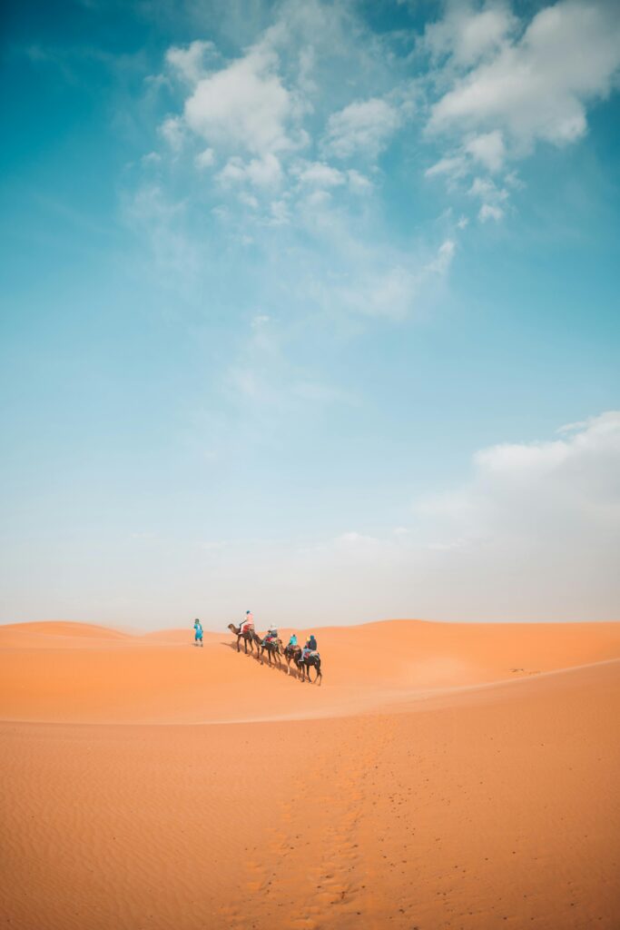 A camel caravan crosses the vast dunes in Al Wahat Al Dakhla Desert, Egypt.
